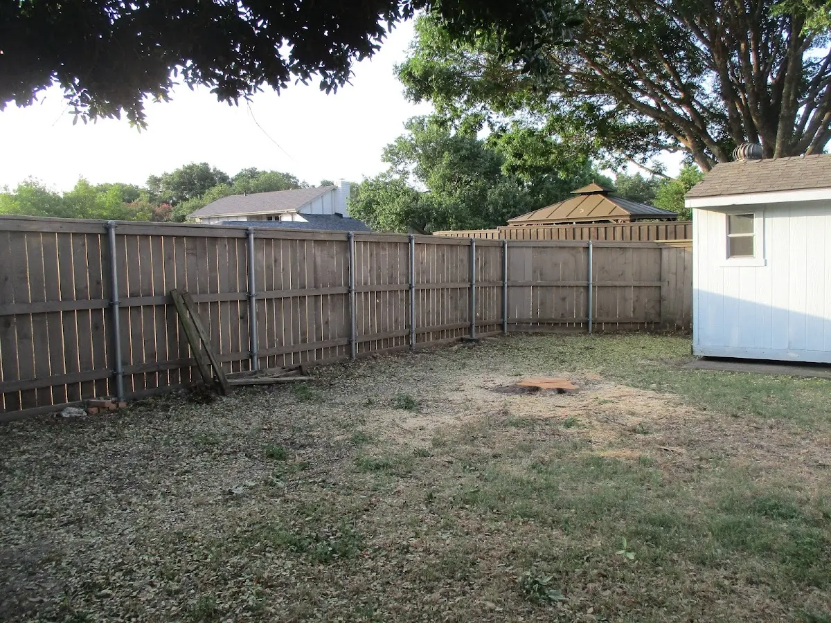 Cleared yard after professional tree removal in Drexel Hill